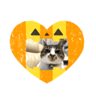 ハロウィン気分のネコ（個別スタンプ：13）