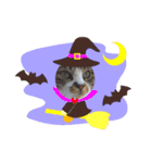ハロウィン気分のネコ（個別スタンプ：14）