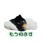 らるごstamp（個別スタンプ：2）