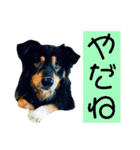 らるごstamp（個別スタンプ：5）
