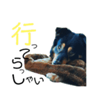 らるごstamp（個別スタンプ：8）