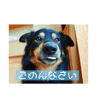 らるごstamp（個別スタンプ：14）