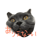 おがしゃん3（個別スタンプ：1）
