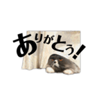 ねこのメイ（個別スタンプ：14）