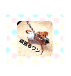 チワックスフント君の日常（個別スタンプ：6）