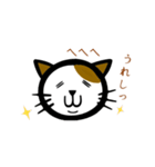 猫のまめきち（個別スタンプ：1）