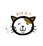 猫のまめきち（個別スタンプ：10）