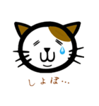 猫のまめきち（個別スタンプ：19）