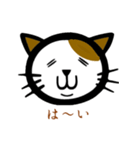 猫のまめきち（個別スタンプ：28）