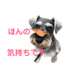 Jackの日常スタンプ No.2（個別スタンプ：1）