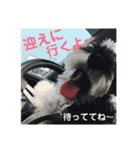 Jackの日常スタンプ No.2（個別スタンプ：9）