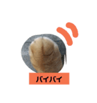 のんちゃん適当スタンプ2（個別スタンプ：2）