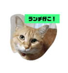のんちゃん適当スタンプ2（個別スタンプ：4）