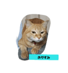 のんちゃん適当スタンプ2（個別スタンプ：5）
