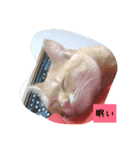 のんちゃん適当スタンプ2（個別スタンプ：6）