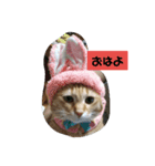 のんちゃん適当スタンプ2（個別スタンプ：8）
