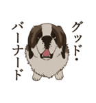 セント・バーナード・スタンプ（個別スタンプ：5）