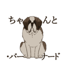 セント・バーナード・スタンプ（個別スタンプ：7）