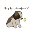 セント・バーナード・スタンプ（個別スタンプ：10）