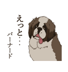 セント・バーナード・スタンプ（個別スタンプ：11）