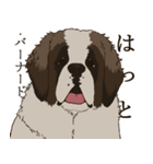 セント・バーナード・スタンプ（個別スタンプ：12）