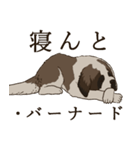 セント・バーナード・スタンプ（個別スタンプ：17）