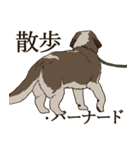 セント・バーナード・スタンプ（個別スタンプ：19）