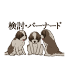 セント・バーナード・スタンプ（個別スタンプ：21）