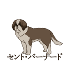 セント・バーナード・スタンプ（個別スタンプ：26）
