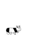アメイジング パンダ(？)（個別スタンプ：7）