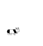 アメイジング パンダ(？)（個別スタンプ：16）