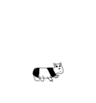アメイジング パンダ(？)（個別スタンプ：17）