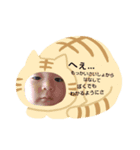 我が家のしのくんすたんぷ（個別スタンプ：7）
