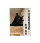 日本黒猫優男協会会長（個別スタンプ：1）