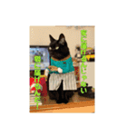 日本黒猫優男協会会長（個別スタンプ：2）