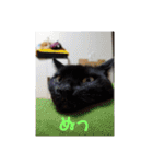 日本黒猫優男協会会長（個別スタンプ：9）