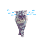 猫が飢えている（個別スタンプ：4）