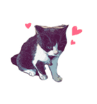 猫が飢えている（個別スタンプ：5）
