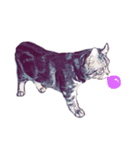 猫が飢えている（個別スタンプ：6）