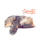 猫が飢えている（個別スタンプ：7）