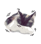 猫が飢えている（個別スタンプ：10）