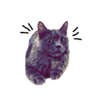 猫が飢えている（個別スタンプ：13）