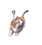 猫が飢えている（個別スタンプ：14）