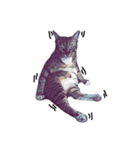 猫が飢えている（個別スタンプ：15）