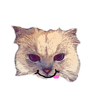 猫が飢えている（個別スタンプ：17）