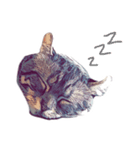 猫が飢えている（個別スタンプ：20）