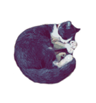 猫が飢えている（個別スタンプ：22）