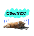 ぱえ♥そら（個別スタンプ：13）