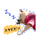 ぱえ♥そら（個別スタンプ：14）