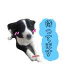 ぱえ♥そら（個別スタンプ：21）